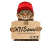 Preview vtv express %d0%ba%d0%be%d1%82