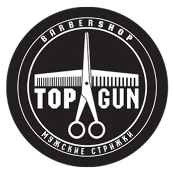 Topgun logo 300